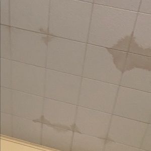 Meet your Posher, Katelyn